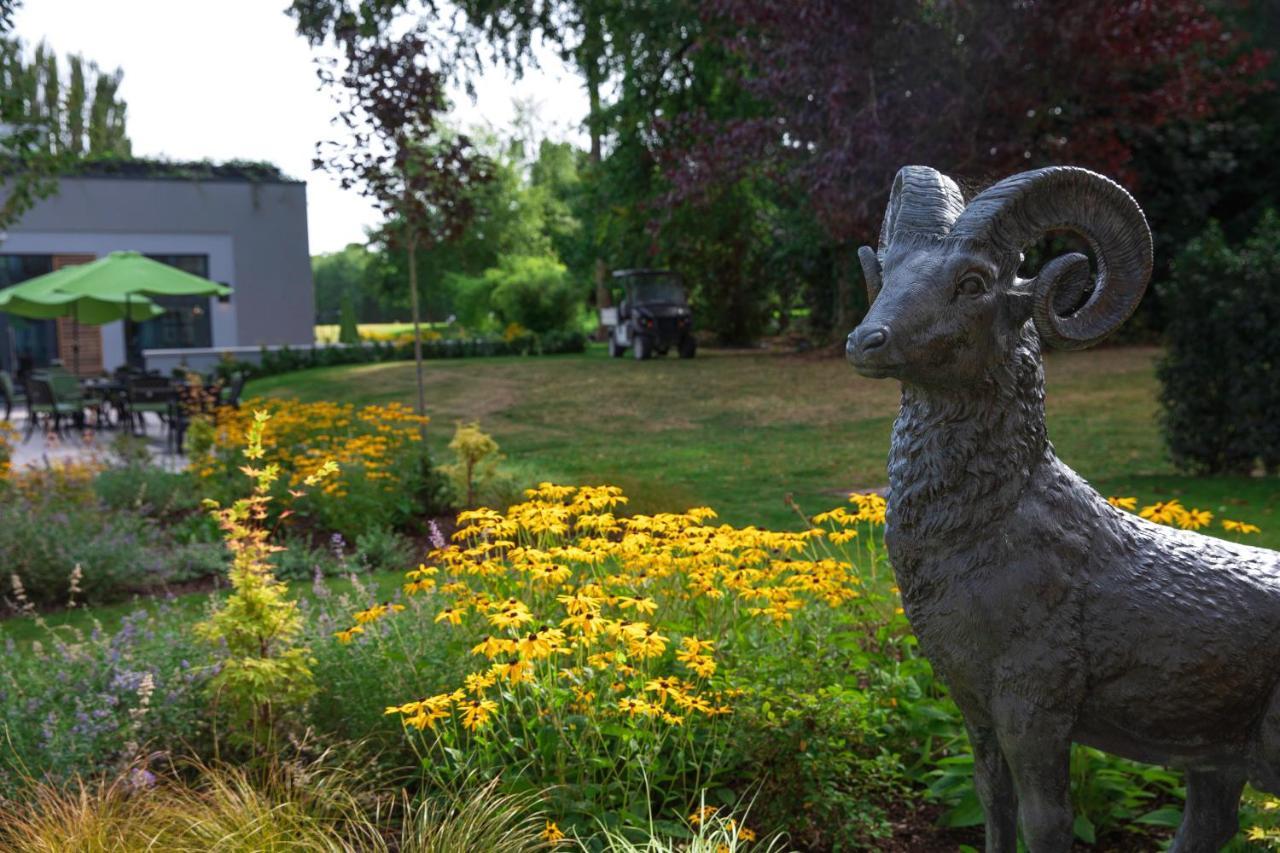 Castlemartyr Resort Hotel ภายนอก รูปภาพ The Bighorn Sheep statue at the entrance of the Bighorn Sheep Provincial Park