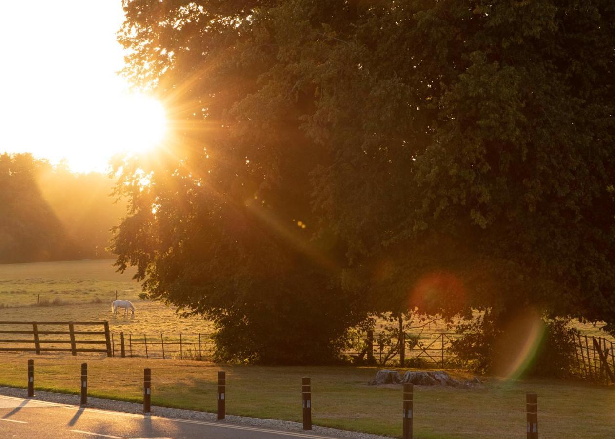 Castlemartyr Resort Hotel ภายนอก รูปภาพ The Oak of the Witches